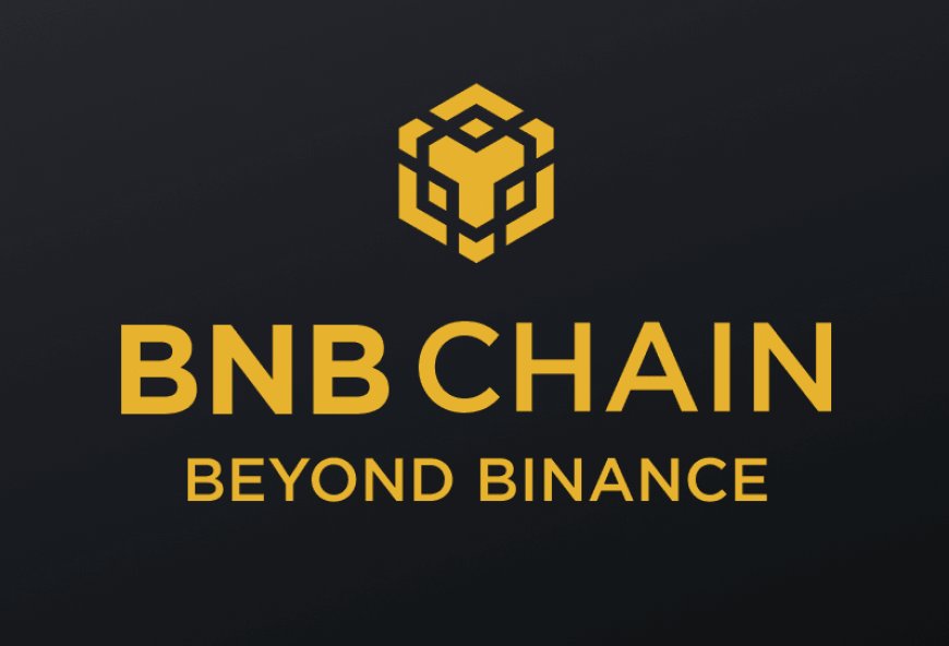 What is the BNB chain? A complete guide